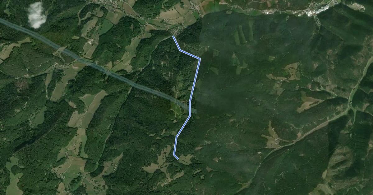 Маршрут Schromenau - Dürnthal - Sieberlgraben - Rotes Kreuz на спутниковом снимке