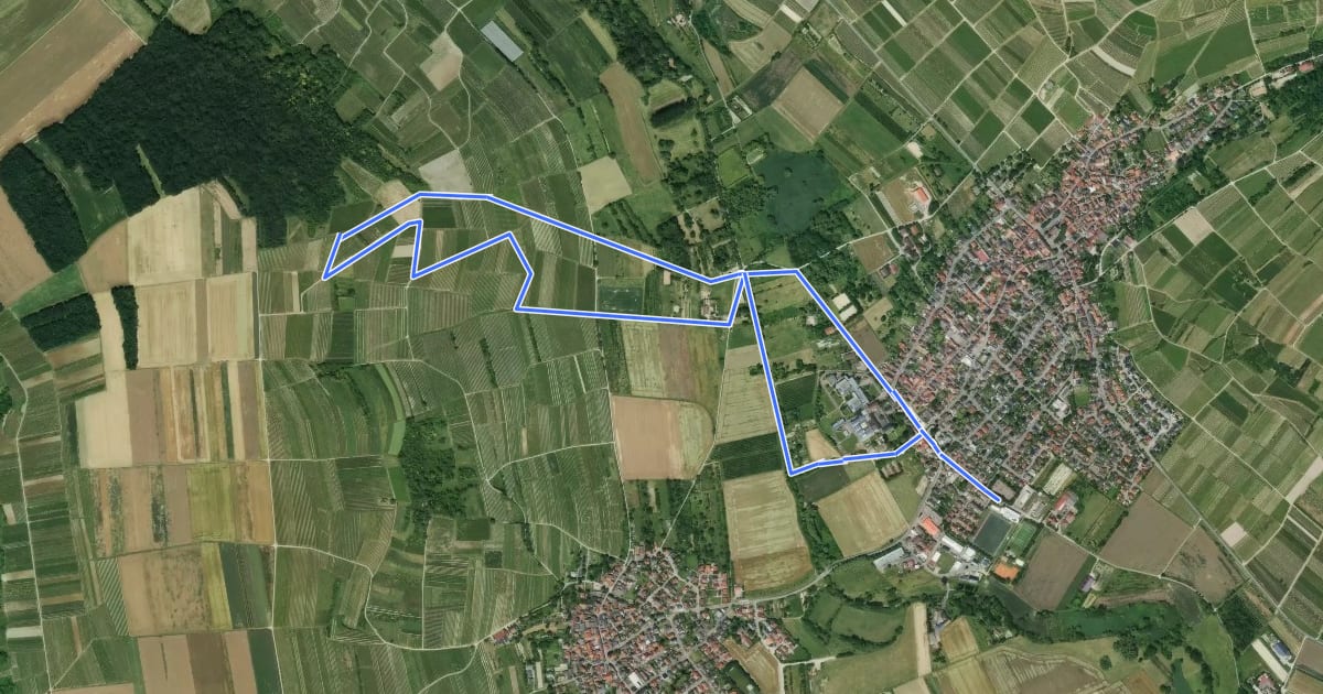 Маршрут Schwabenheim: 4 Schloßberg на спутниковом снимке