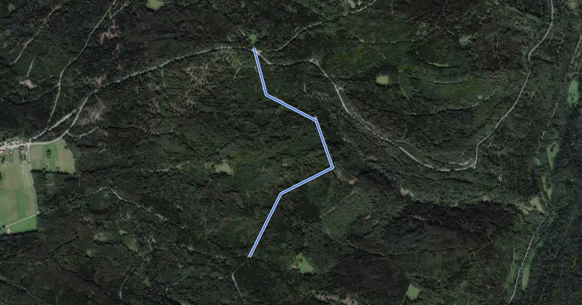 Маршрут Schwabhauser Hütte - Dreimarkstein на спутниковом снимке