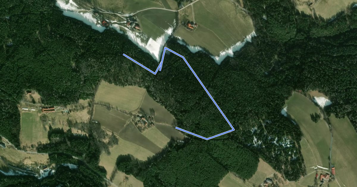 Маршрут Schwammerlweg über Petruskapelle (Unternberg) на спутниковом снимке