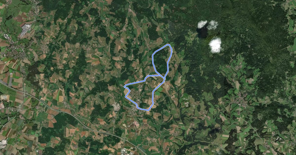 Маршрут Schwarzacher Rundweg Nr. 2 на спутниковом снимке