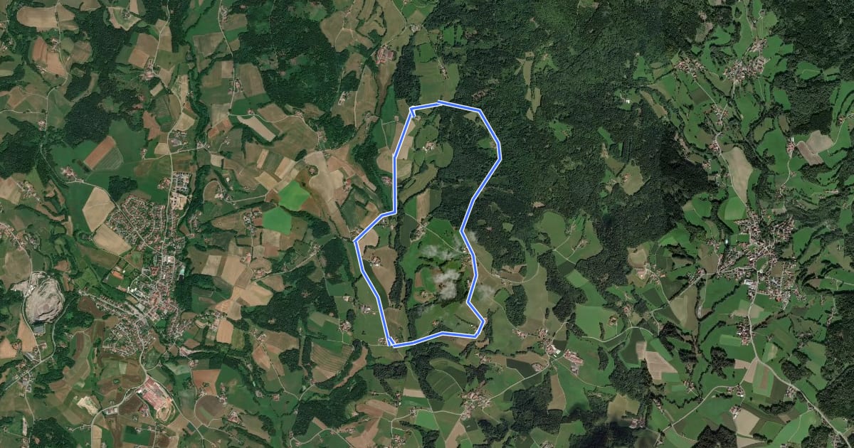 Маршрут Schwarzacher Rundweg Nr. 5 на спутниковом снимке