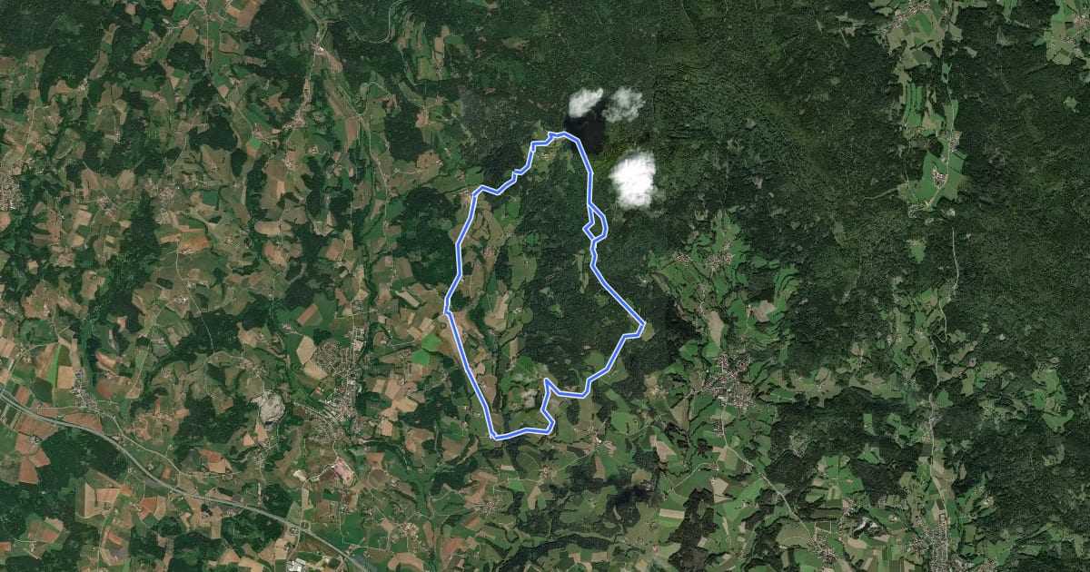 Маршрут Schwarzacher Rundweg Nr. 6 на спутниковом снимке