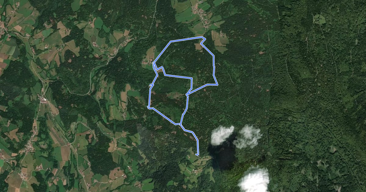 Маршрут Schwarzacher Rundweg Nr. 9 на спутниковом снимке