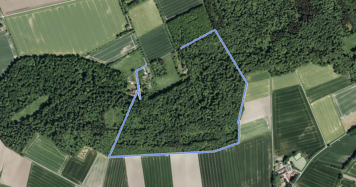Маршрут Schwarze Route - Stemweder Berg на спутниковом снимке