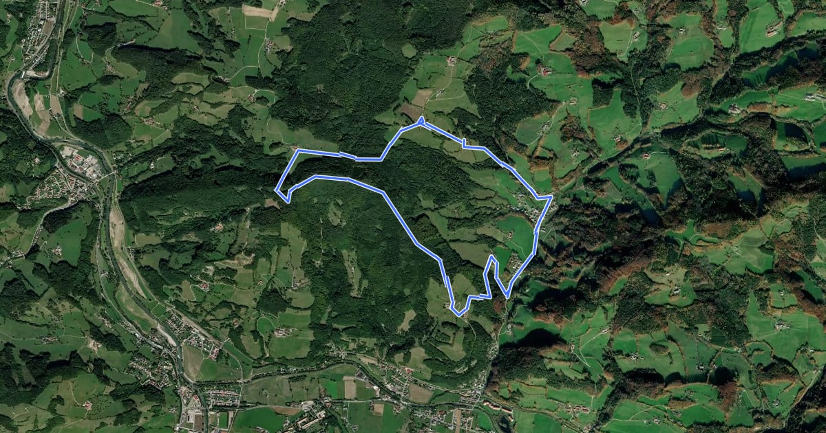 Маршрут Schwarzenbacher Rundwanderweg 01 на спутниковом снимке