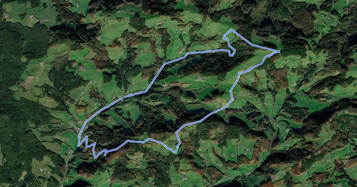 Маршрут Schwarzenbacher Rundwanderweg 03 на спутниковом снимке