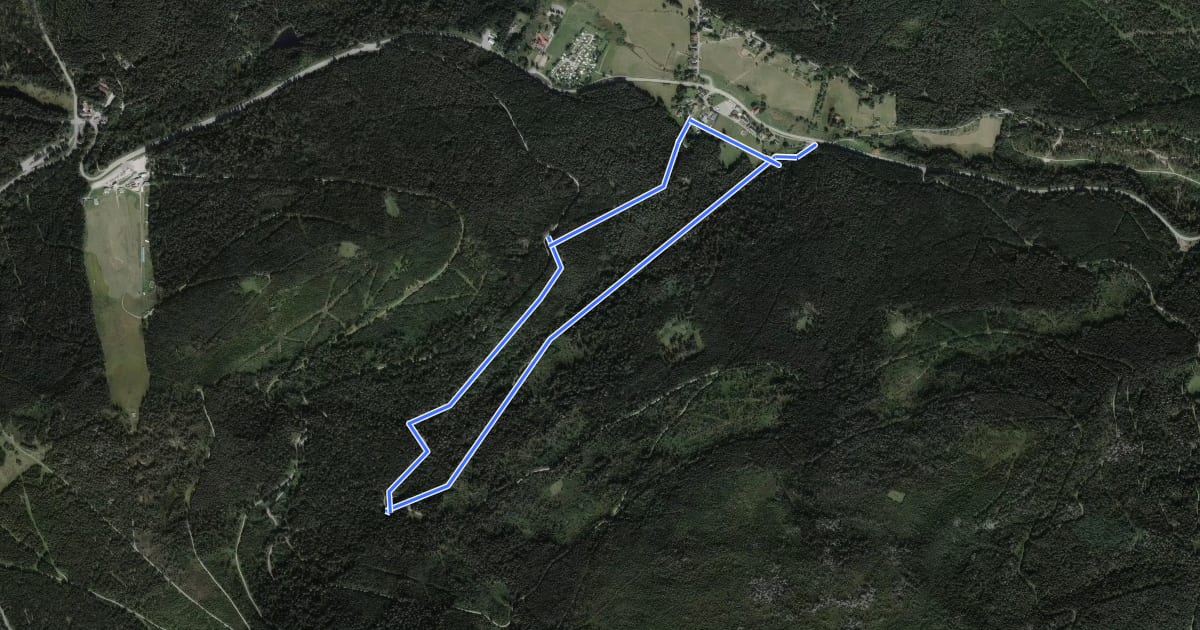 Маршрут Schwarzenbergloipe на спутниковом снимке