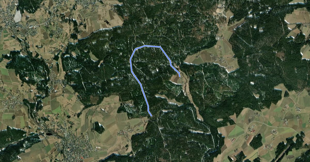 Маршрут Schwarzenreuth Wackelsteinweg на спутниковом снимке