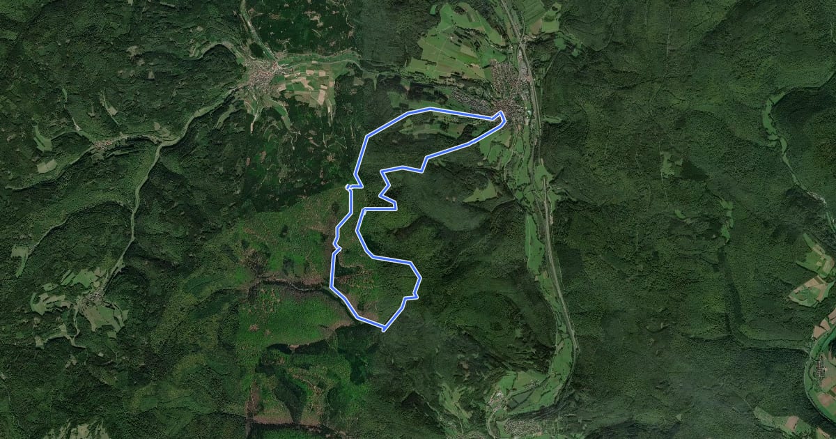 Маршрут Schwarzer Fuchs, Rundwanderweg Burgsinn на спутниковом снимке