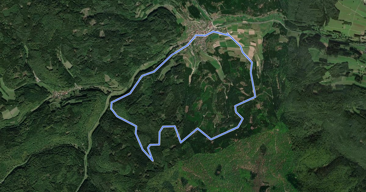 Маршрут Schwarzer Fuchs, Rundwanderweg Fellen на спутниковом снимке