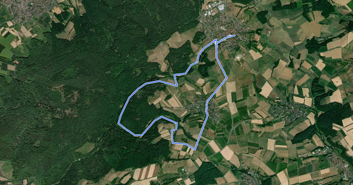 Маршрут Schwarzer Fuchs, Rundwanderweg Geiselbach на спутниковом снимке