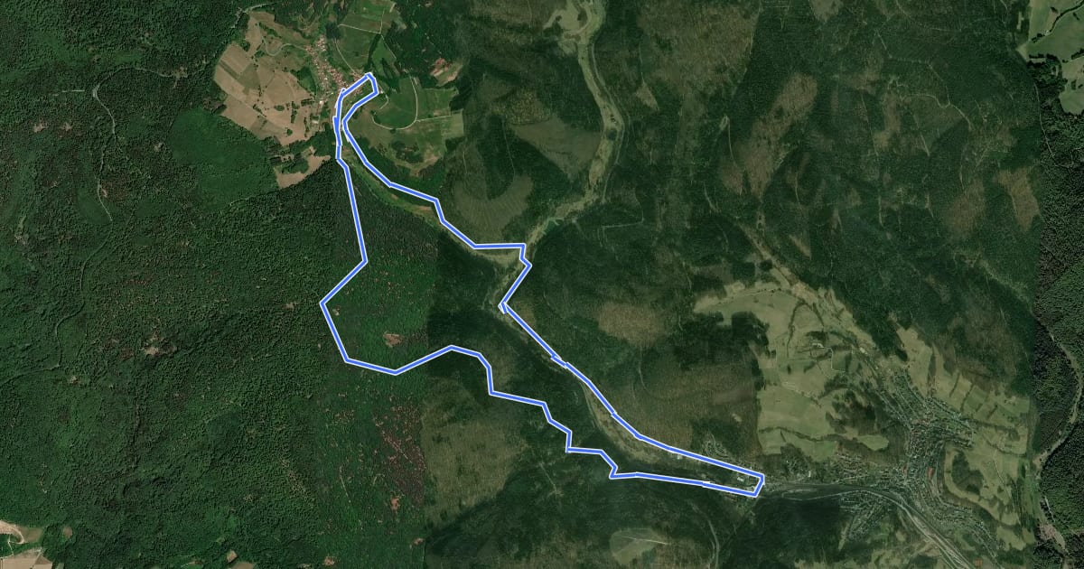 Маршрут Schwarzer Fuchs, Rundwanderweg Heigenbrücken - Jakobsthal на спутниковом снимке