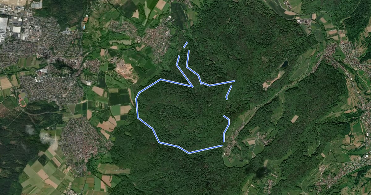 Маршрут Schwarzer Fuchs, Rundwanderweg Hemsbacher Kreuz на спутниковом снимке