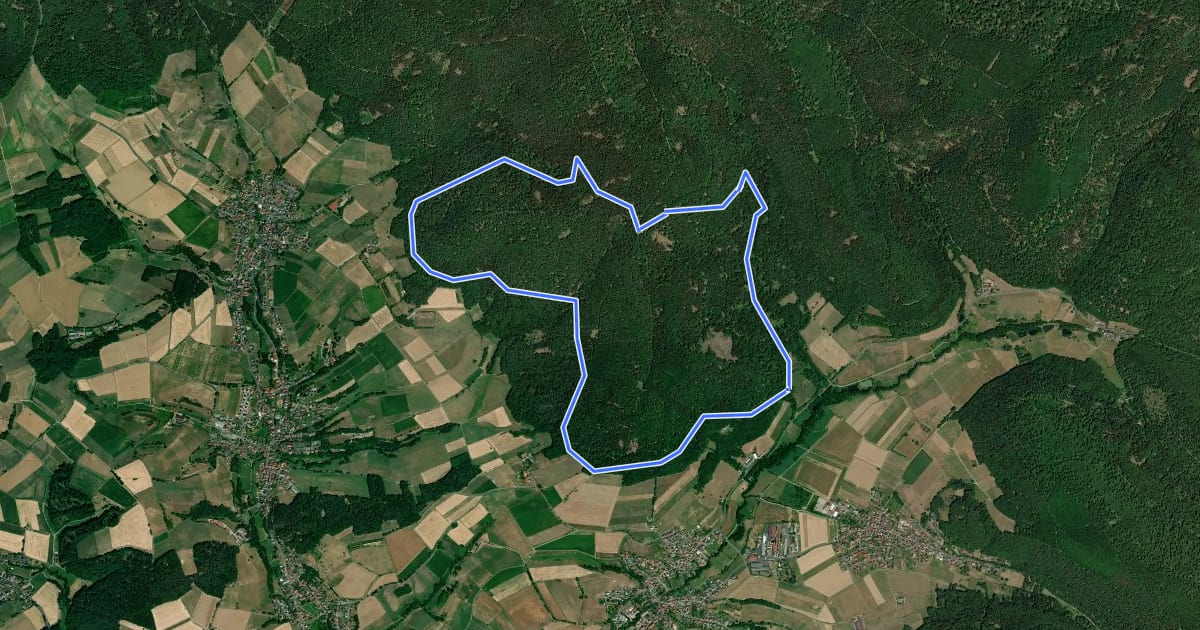 Маршрут Schwarzer Fuchs, Rundwanderweg Kleinkahl на спутниковом снимке