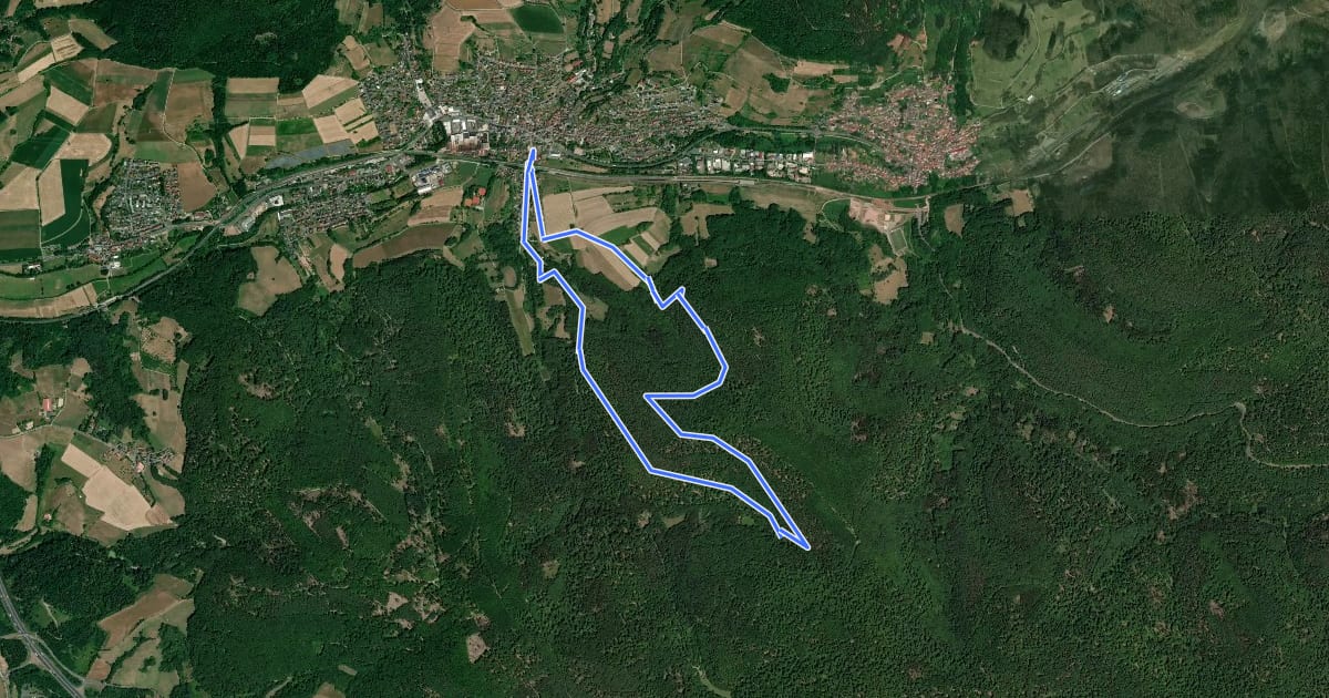 Маршрут Schwarzer Fuchs, Rundwanderweg Laufach на спутниковом снимке