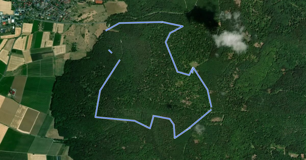 Маршрут Schwarzer Fuchs, Rundwanderweg Mönchberg на спутниковом снимке
