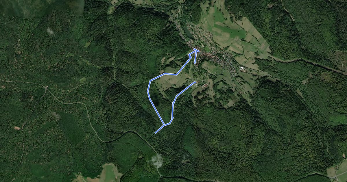 Маршрут Schwarzer Fuchs, Rundwanderweg Neuhütten на спутниковом снимке