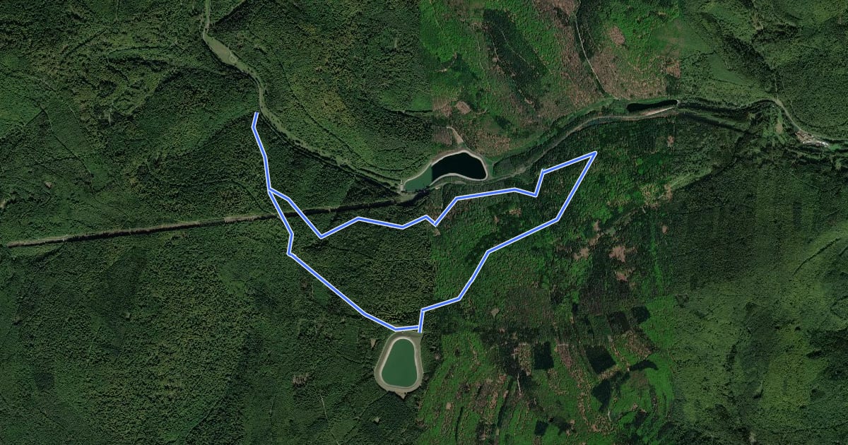 Маршрут Schwarzer Fuchs, Rundwanderweg Sinderbachtal на спутниковом снимке