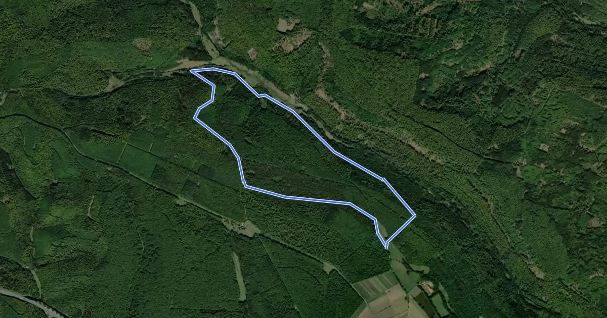 Маршрут Schwarzer Fuchs, Rundwanderweg Weihersgrund am Sylvan на спутниковом снимке