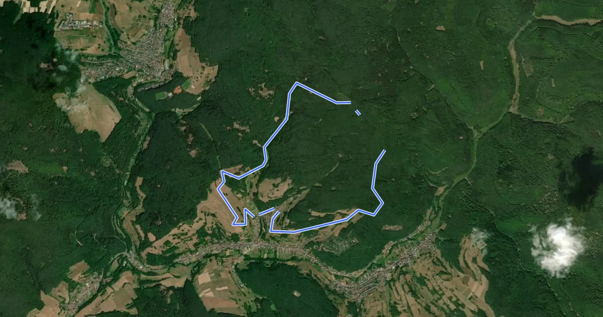 Маршрут Schwarzer Fuchs, Rundwanderweg Wintersbach на спутниковом снимке