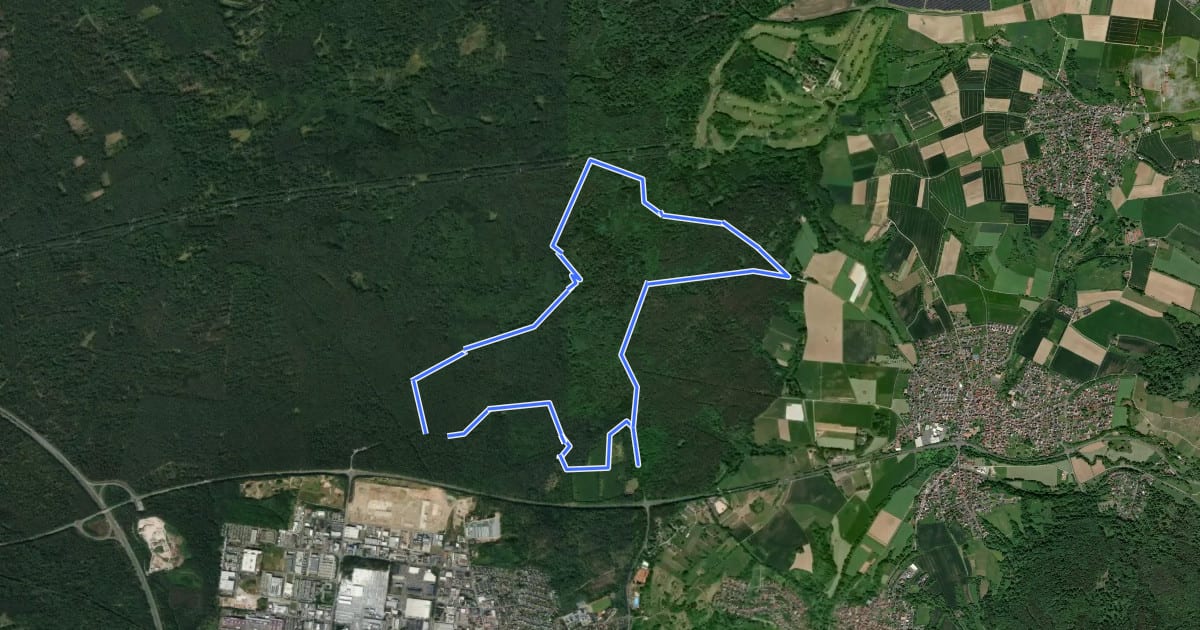 Маршрут Schwarzer Keiler, Rundwanderweg Alzenau - Wanderparkplatz Mühlmark на спутниковом снимке
