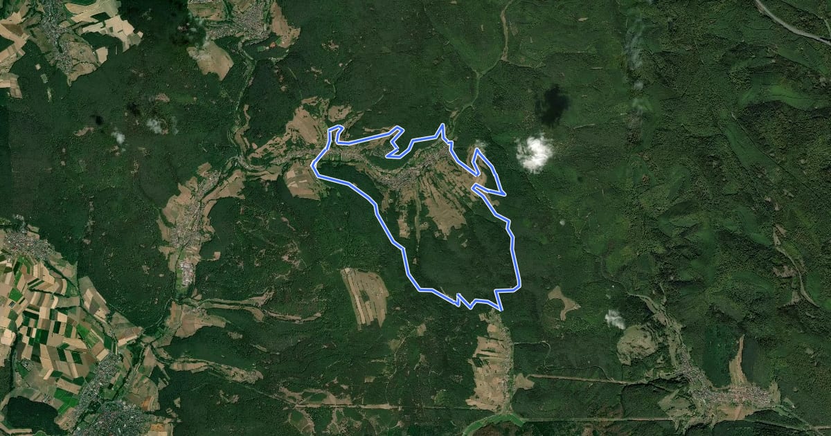 Маршрут Schwarzer Keiler, Rundwanderweg Dammbach на спутниковом снимке