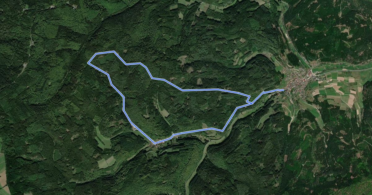 Маршрут Schwarzer Keiler, Rundwanderweg Fellen на спутниковом снимке