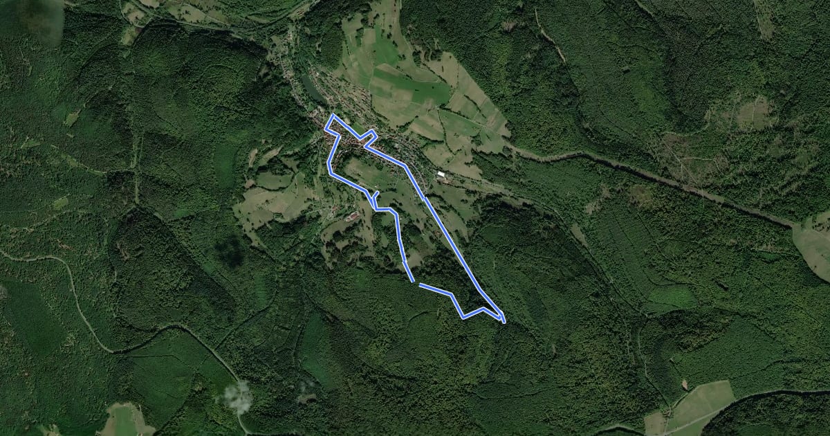 Маршрут Schwarzer Keiler, Rundwanderweg Neuhütten на спутниковом снимке