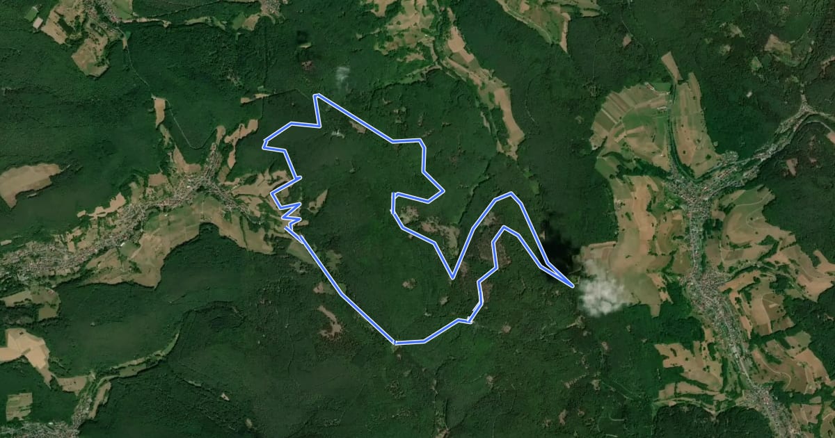 Маршрут Schwarzer Keiler, Rundwanderweg Soden Wanderheim на спутниковом снимке
