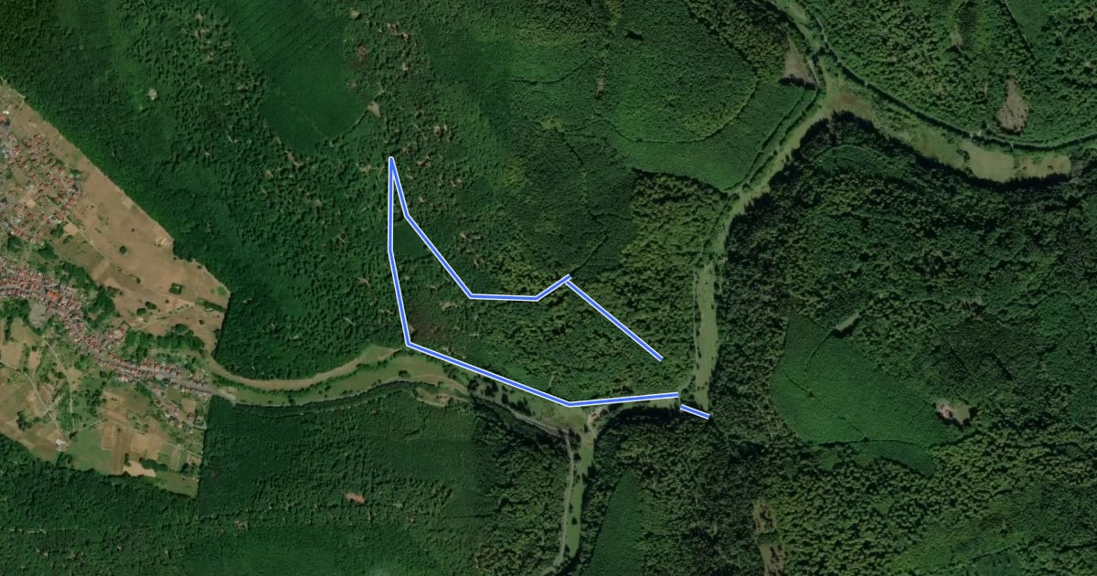 Маршрут Schwarzer Keiler, Rundwanderweg Weibersbrunn на спутниковом снимке