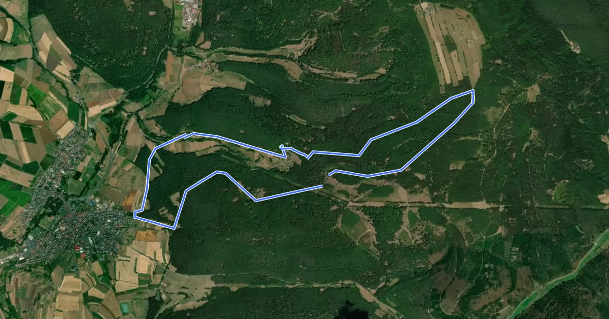 Маршрут Schwarzer Keiler, Rundweg Eschau - Geishöhe на спутниковом снимке
