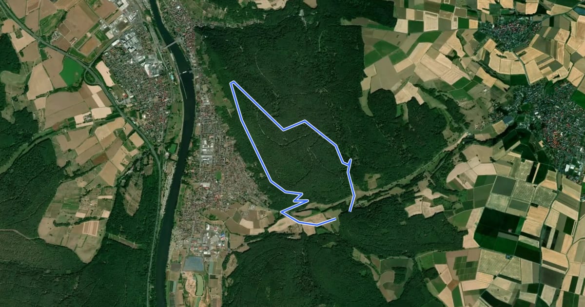 Маршрут Schwarzer Keiler, Rundweg Röllfeld на спутниковом снимке