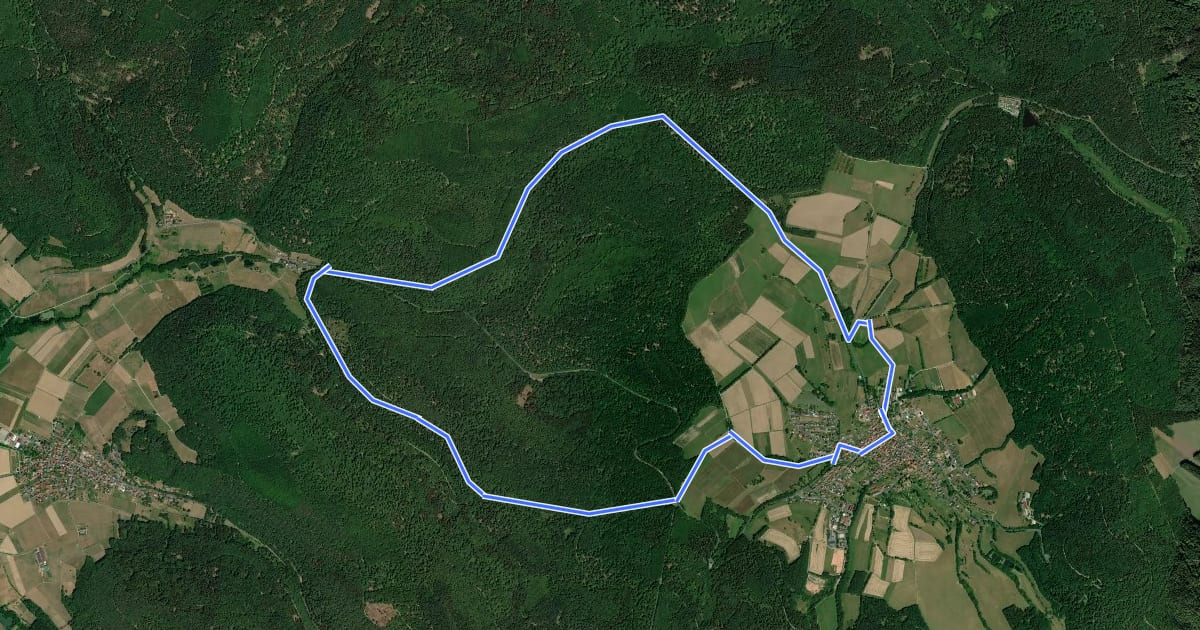 Маршрут Schwarzer Keiler, Rundweg Wiesen на спутниковом снимке
