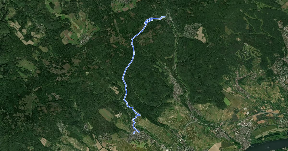 Маршрут Schwarzer Punkt Schlangenbad nach Kiedrich на спутниковом снимке