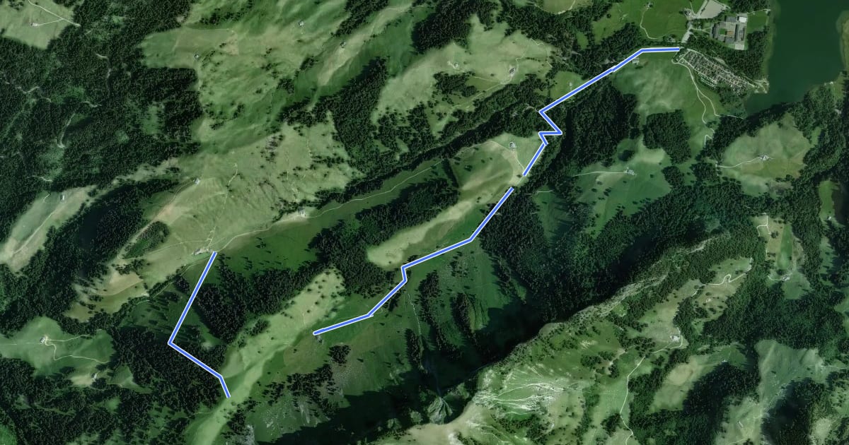 Маршрут Schwarzsee Bad Seeweid - fixme на спутниковом снимке
