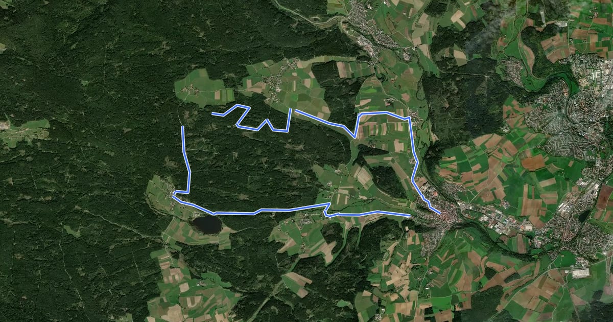Маршрут Schwarzwaldmarathon - Halbmarathon на спутниковом снимке