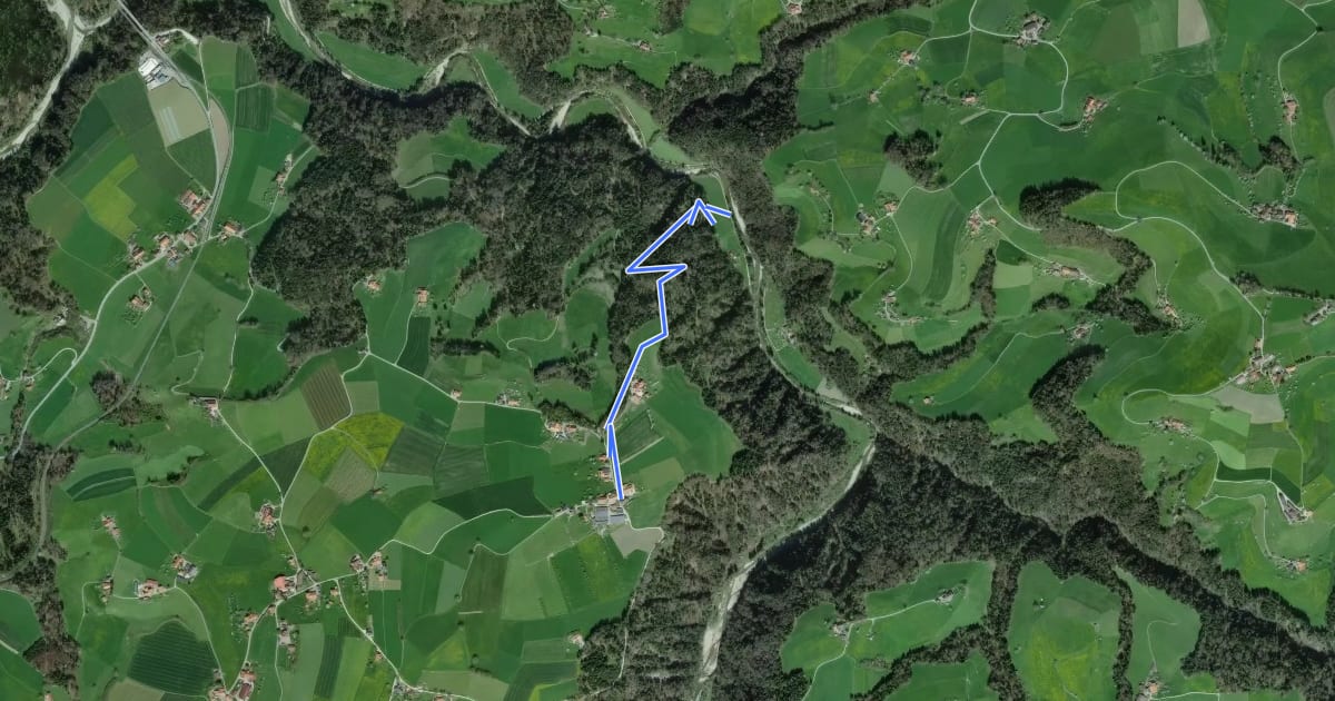 Маршрут Schwarzwassergraben - Nidegg на спутниковом снимке