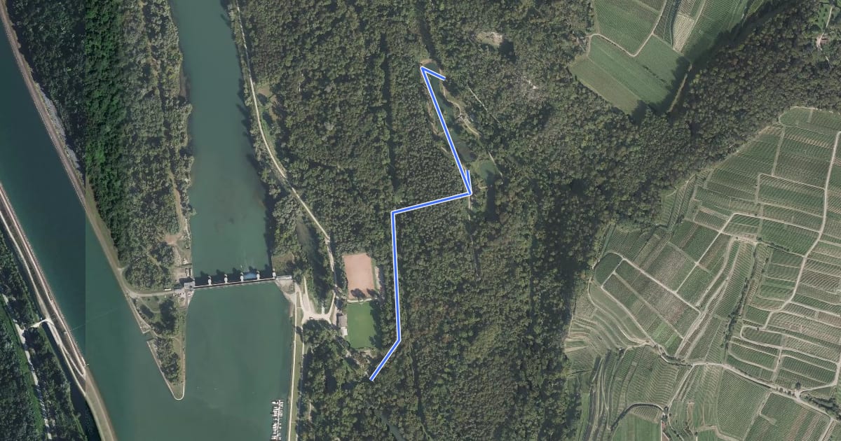 Маршрут Schweißgraben - Schloßkopfgrund на спутниковом снимке