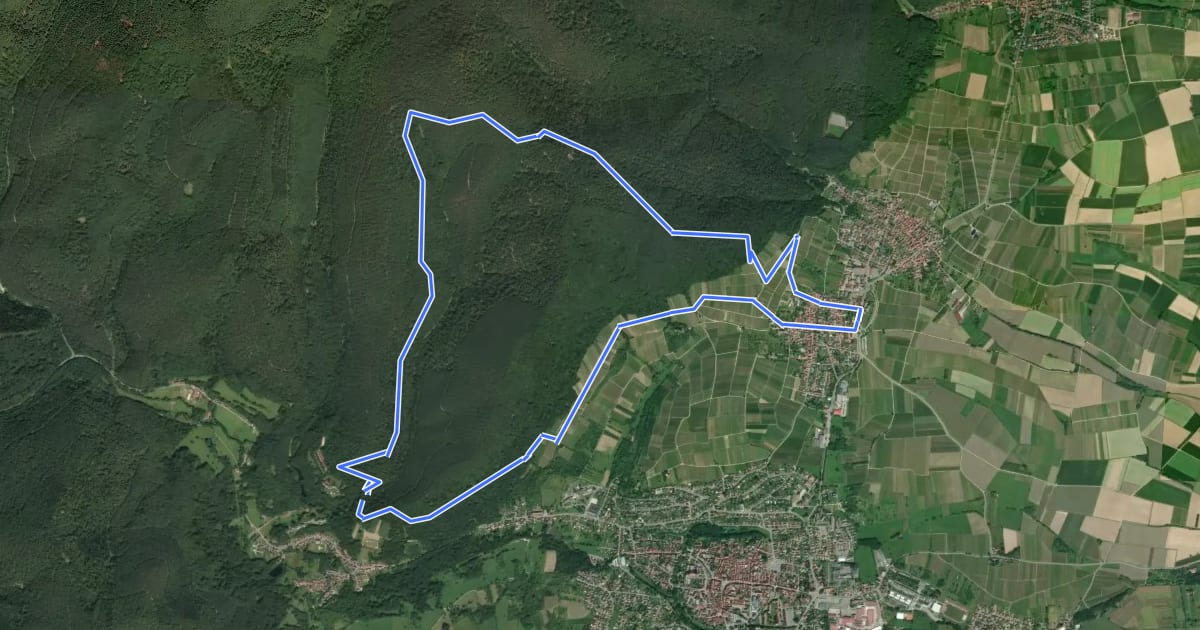 Маршрут Schweigen-Rechtenbach - Grenzlandtour на спутниковом снимке