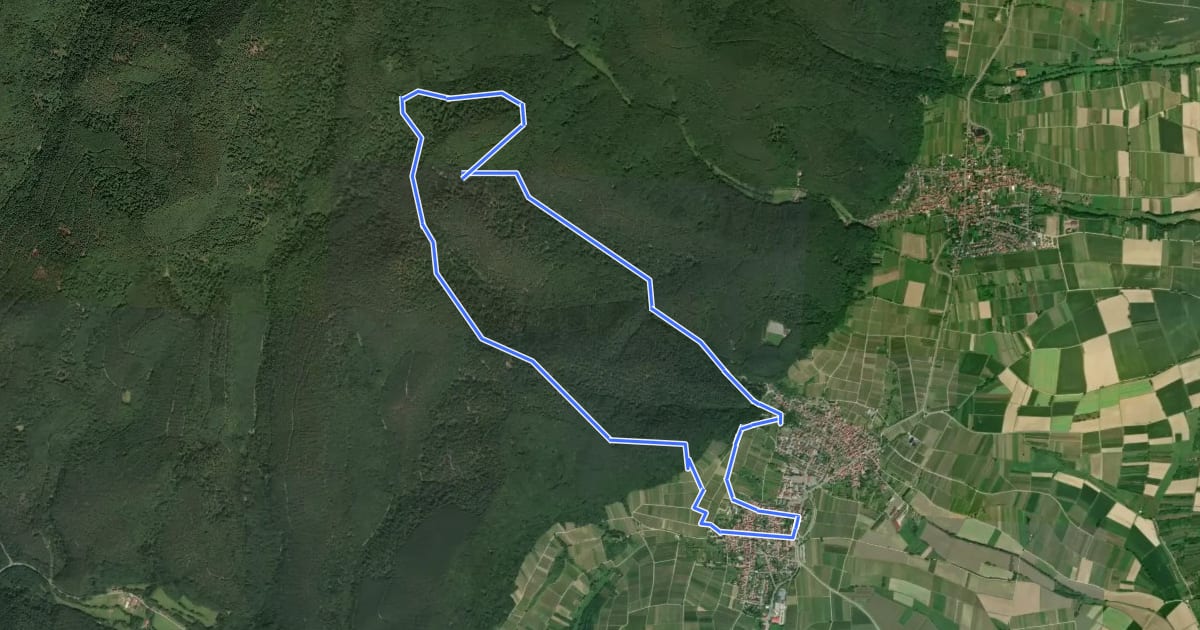 Маршрут Schweigen Rechtenbach - Ruine Guttenberg Tour на спутниковом снимке