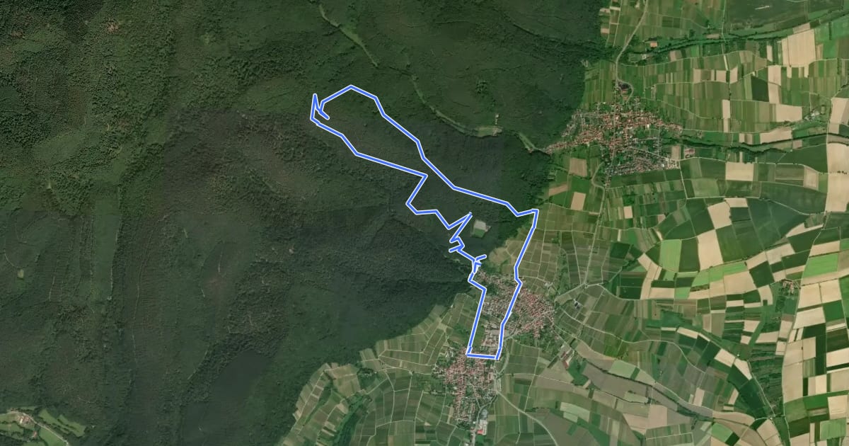 Маршрут Schweigen-Rechtenbach - Rund ums Steinbühl на спутниковом снимке