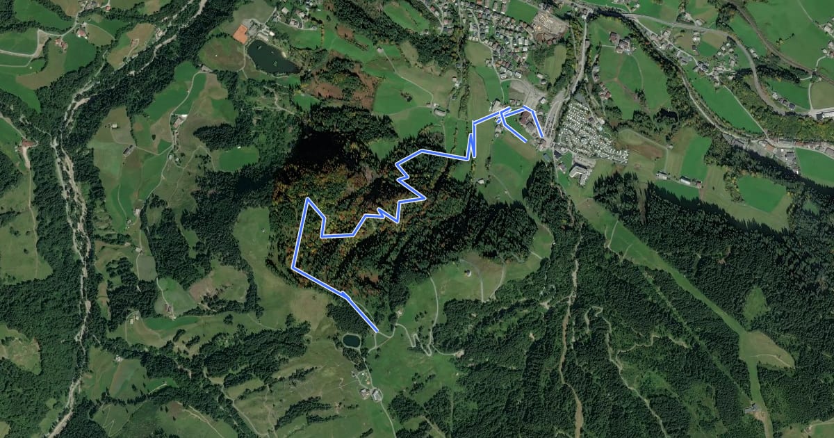 Маршрут Schweinestberg Trail на спутниковом снимке