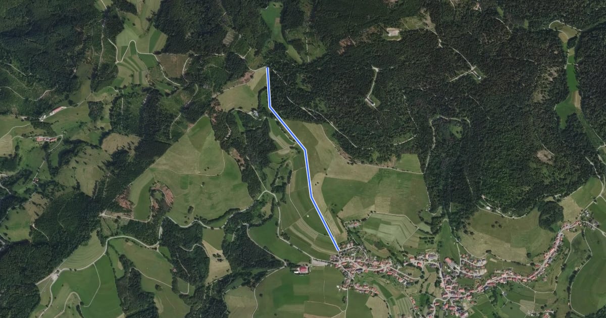 Маршрут Schwellen - Gersbach Ebnet на спутниковом снимке