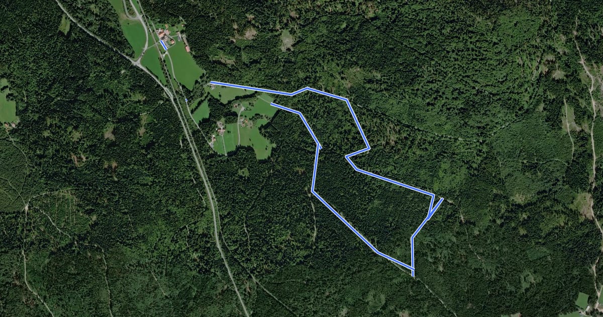 Маршрут Schwellweiher Runde на спутниковом снимке