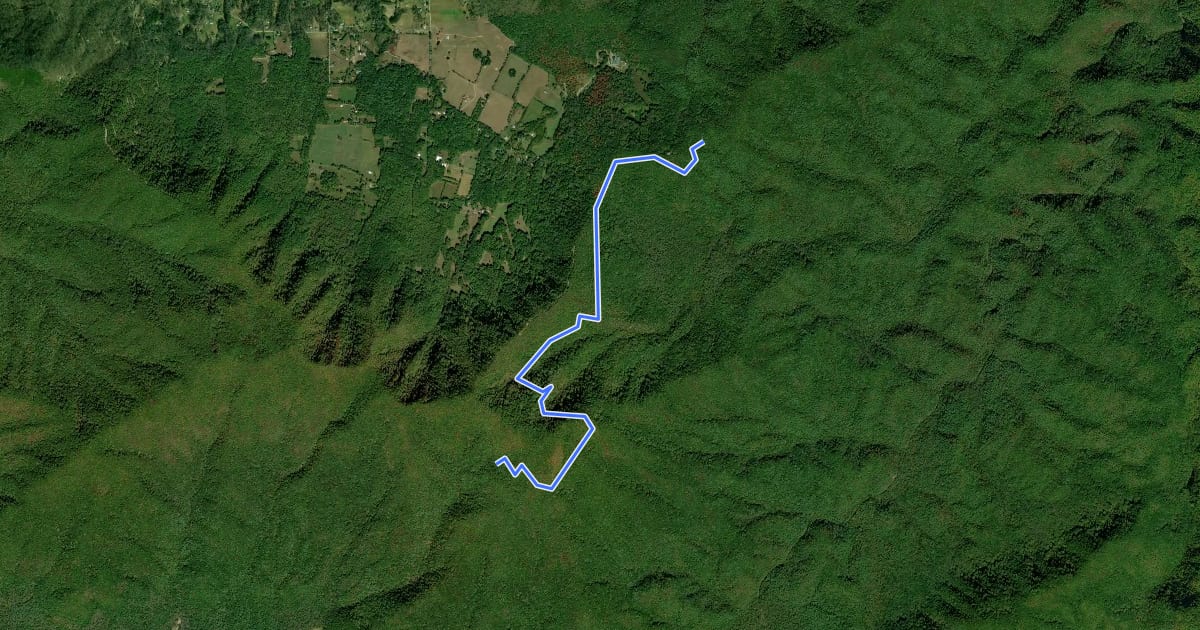 Маршрут Scott Mountain Trail на спутниковом снимке