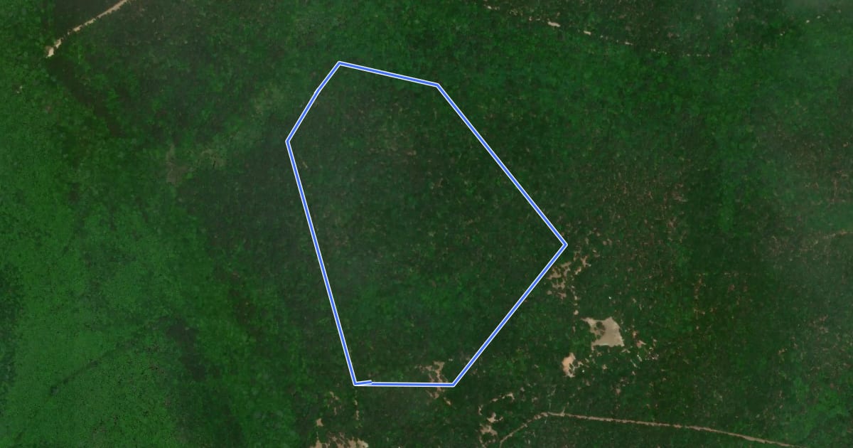 Маршрут Scout Trail на спутниковом снимке