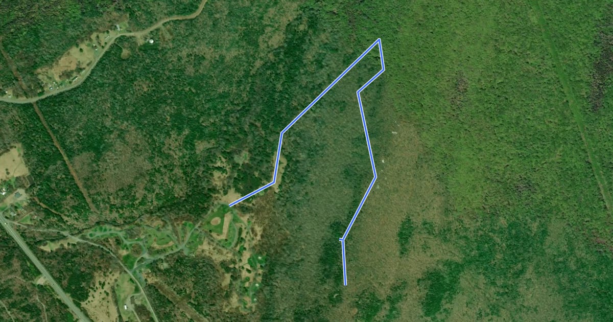 Маршрут Scout Trail на спутниковом снимке