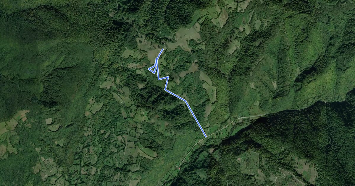 Маршрут Scurtătură traseu Poiana - Cascada Sfânta Treime - Băița на спутниковом снимке