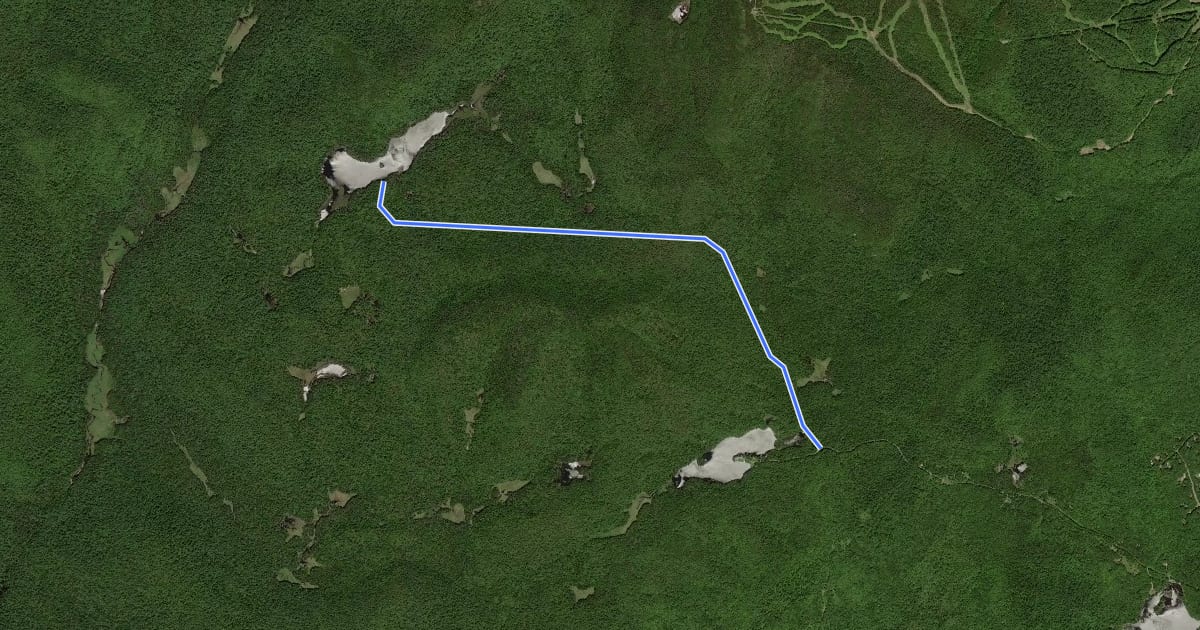 Маршрут Second Pond Trail на спутниковом снимке